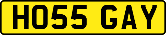 HO55GAY