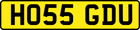 HO55GDU