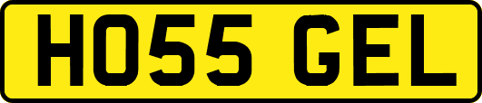 HO55GEL