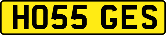 HO55GES