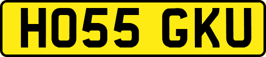 HO55GKU