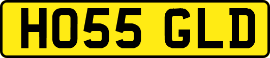 HO55GLD