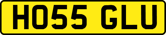 HO55GLU