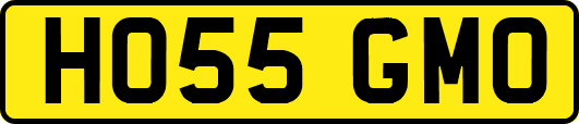 HO55GMO