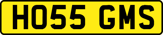 HO55GMS