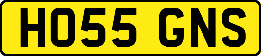 HO55GNS