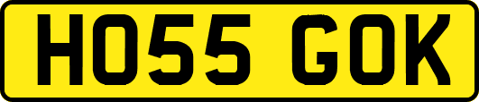 HO55GOK