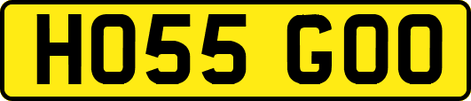 HO55GOO