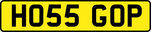 HO55GOP