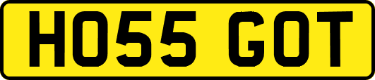HO55GOT