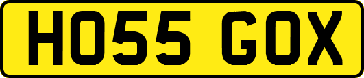 HO55GOX