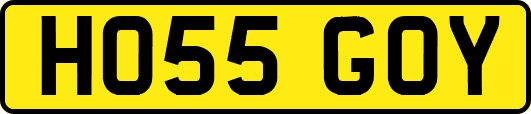 HO55GOY