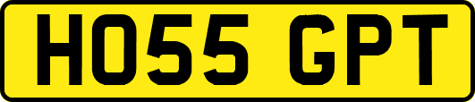 HO55GPT