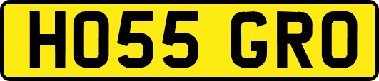 HO55GRO