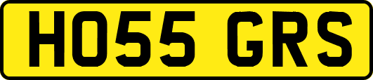 HO55GRS