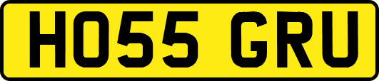HO55GRU