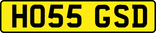HO55GSD