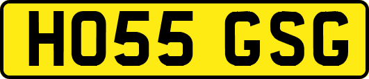 HO55GSG