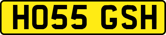 HO55GSH