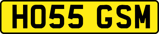 HO55GSM