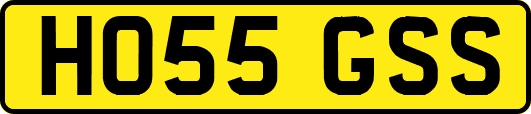 HO55GSS