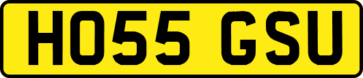 HO55GSU