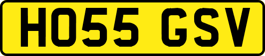 HO55GSV