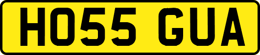 HO55GUA