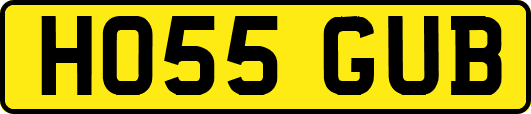 HO55GUB