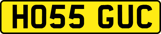 HO55GUC
