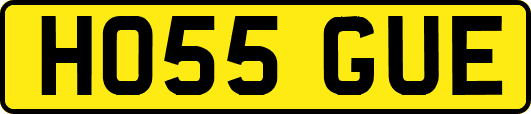 HO55GUE