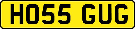 HO55GUG