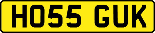 HO55GUK