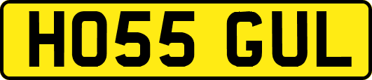 HO55GUL