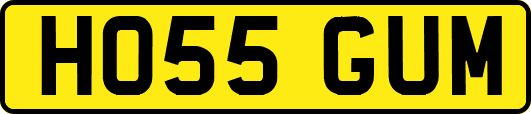HO55GUM