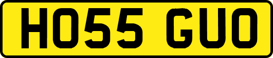 HO55GUO
