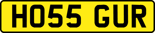 HO55GUR