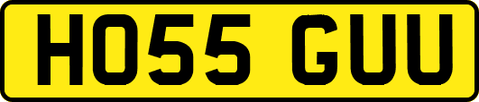 HO55GUU