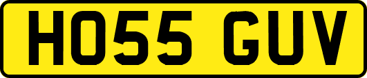 HO55GUV