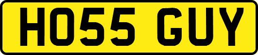 HO55GUY