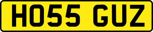 HO55GUZ
