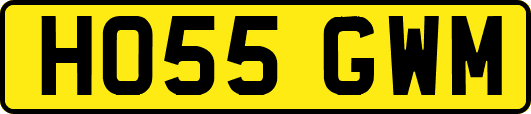 HO55GWM
