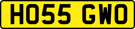 HO55GWO
