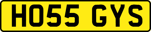 HO55GYS