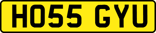HO55GYU