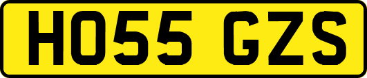 HO55GZS