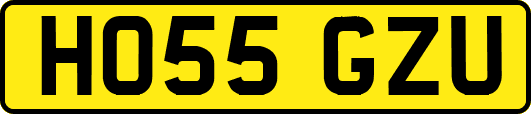 HO55GZU