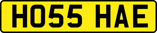 HO55HAE