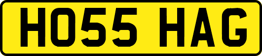 HO55HAG