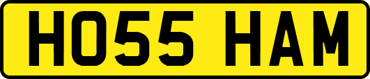 HO55HAM